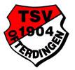 TSV Ofterdingen 1904