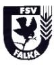 FSV Falka e.V.